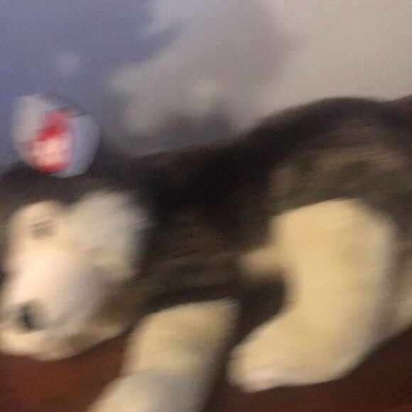 TY Husky Beanie Buddy  2003 - Picture 4 of 10